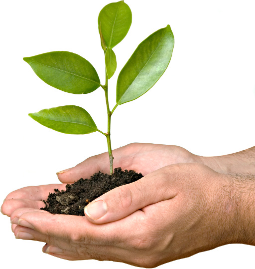 Spina-Bifida Croissance