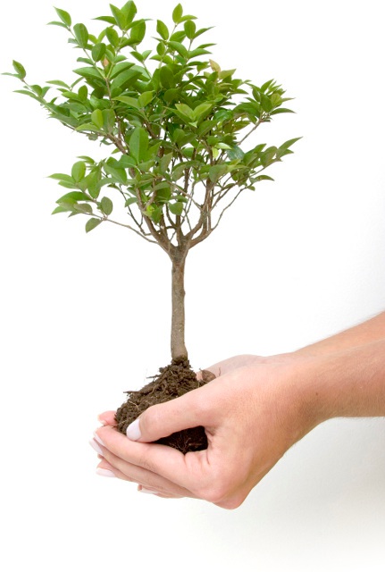 Spina-Bifida Partenaires